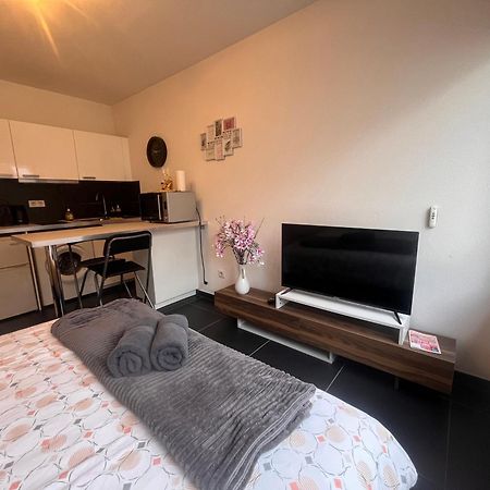 Nid Douillet De La Pie Lejlighed Strasbourg Eksteriør billede